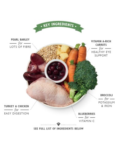 LILY`S LILY´S CHICKEN & TURKEY CASSEROLE TIN PARA PERROS - 400 GR 6 X 400 GR 1 X 400 GR - 4