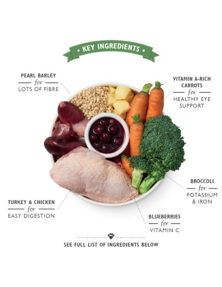 LILY`S LILY´S CHICKEN & TURKEY CASSEROLE TIN PARA PERROS - 400 GR 6 X 400 GR 1 X 400 GR - 4