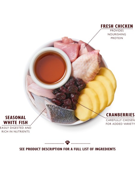 LILY`S LILY´S CHICKEN & WHITE FISH KITTEN DRY FOOD PARA GATITOS - 800 GR 800 GR - 4