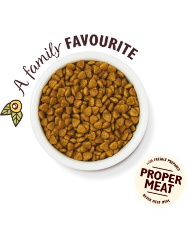 LILY`S LILY´S CHICKEN CASSEROLE DRY FOOD PARA GATOS - 2 KG 2 KG - 3