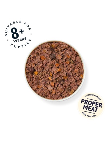 LILY`S LILY´S PUPPY RECIPE TURKEY, DUCK & KALE TIN PARA CACHORROS - 400 GR 6 X 400 GR 1 X 400 GR - 3