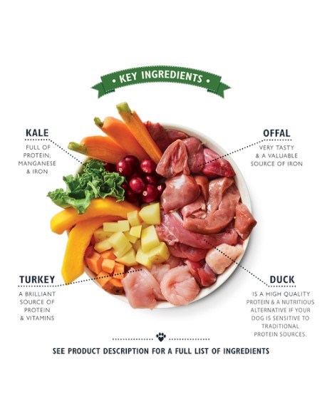 LILY`S LILY´S PUPPY RECIPE TURKEY, DUCK & KALE TIN PARA CACHORROS - 400 GR 6 X 400 GR 1 X 400 GR - 4