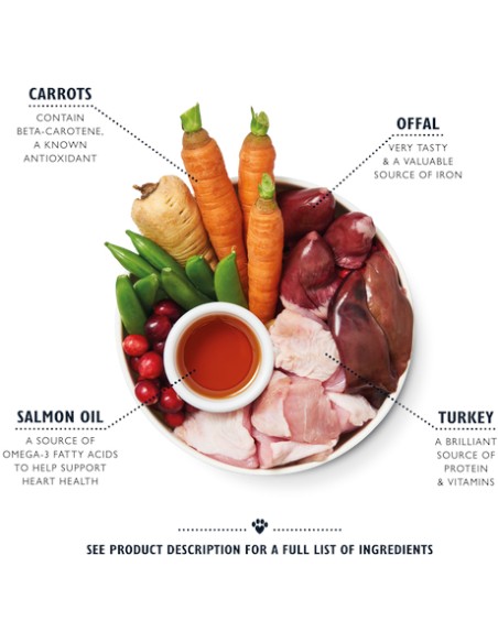 LILY`S LILY´S SENIOR RECIPE TIN PARA PERROS - 400 GR 6 X 400 GR 1 X 400 GR - 4