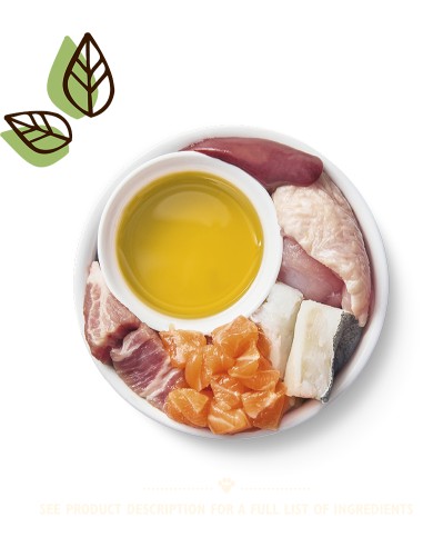 LILY`S LILY´S SMOOTH PATÉ KITTEN CHICKEN & COD & SALMON PARA GATOS (19 UNIDADES) - 19 X 85 GR 19 X 85 GR - 3