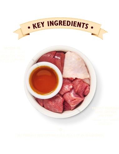 LILY`S LILY´S SMOOTH PATÉ LAMB PARA GATOS (19 UNIDADES) - 19 X 85 GR 19 X 85 GR - 3