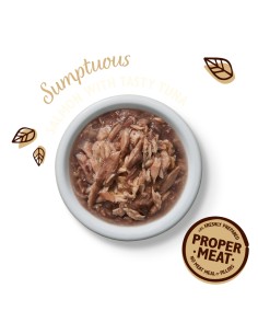 LILY`S LILY´S TUNA & SALMON SHREDDED FILLETS PARA GATOS (24 UNIDADES) - 24 X 70 GR 24 X 70 GR - 2 2