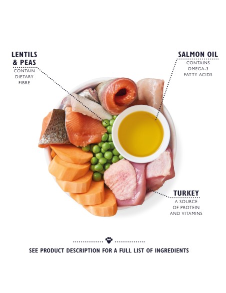 LILY`S LILY´S TURKEY & TROUT SENIOR DRY FOOD PARA PERROS 2 5 KG 7 KG - 4