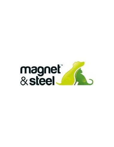 MAGNET STEEL