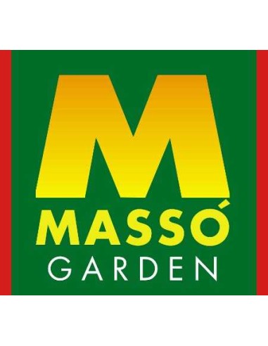 MASSÓ