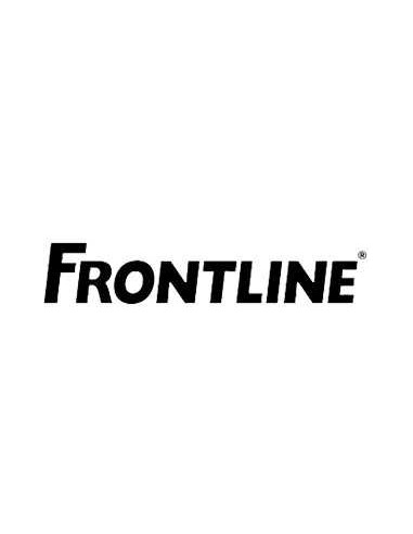 FRONTLINE
