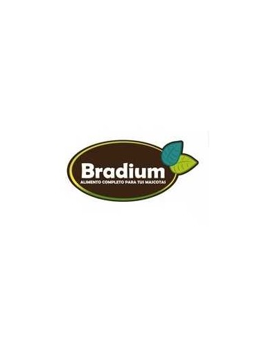 BRADIUM