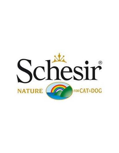 SCHESIR