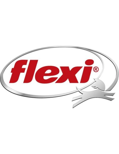 FLEXI