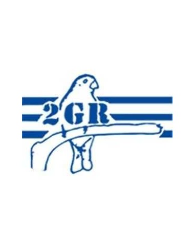 2G-R