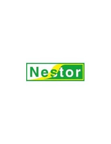 NESTOR